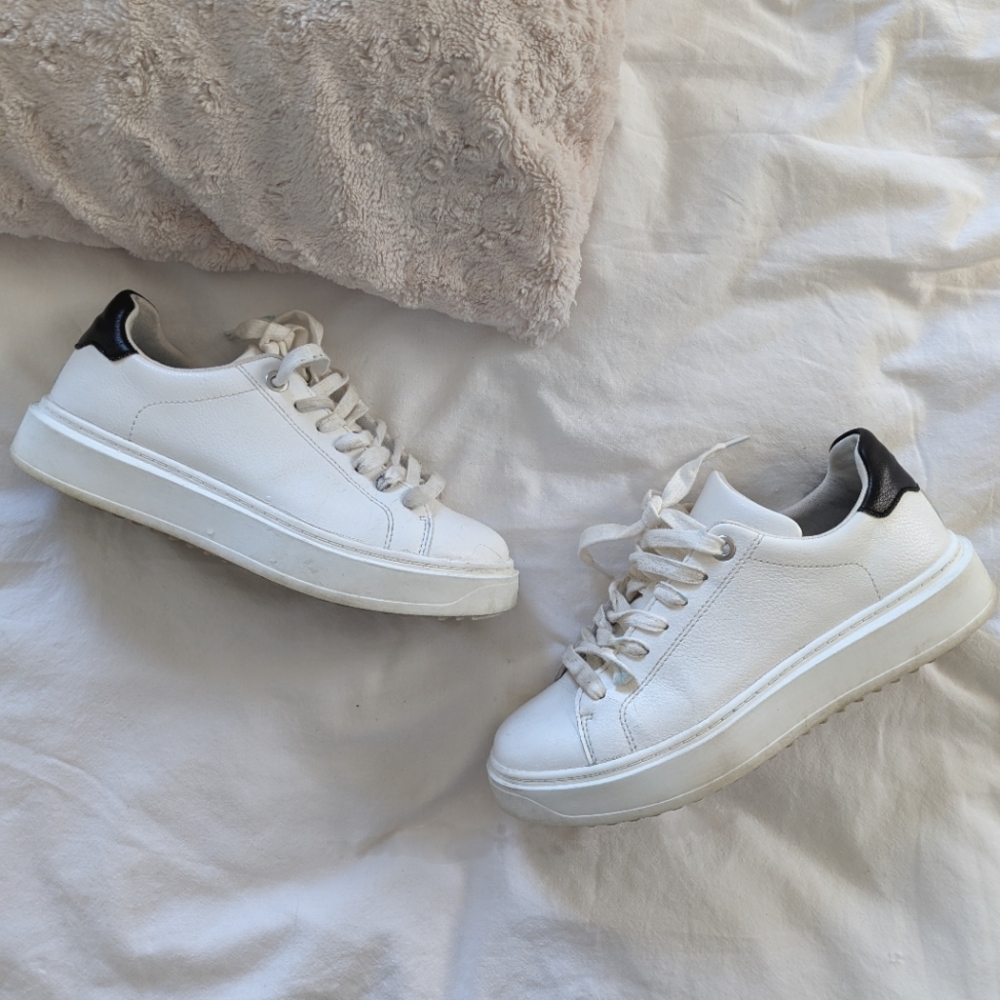 STEVE MADDEN | Black & White Catcher Sneaker